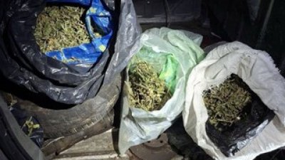 На територията на Бобов дол вчера е проведена специализирана полицейска