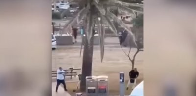 "Кървавата Ханука" в Сидни: Случаен минувач спасява десетки на плажа (ВИДЕО)
