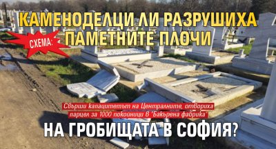Каменоделски фирми вероятно стоят зад погрома на Централните софийски гробища