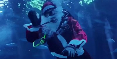 Дядо Коледа се гмурна в аквариума