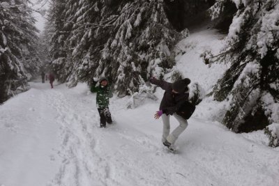 Добри са условията за туризъм в планините Това съобщиха за