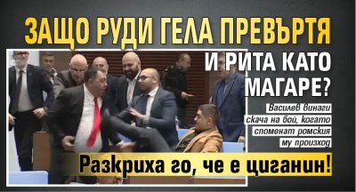 Защо Руди Гела превъртя и рита като магаре? Разкриха го, че е циганин!
