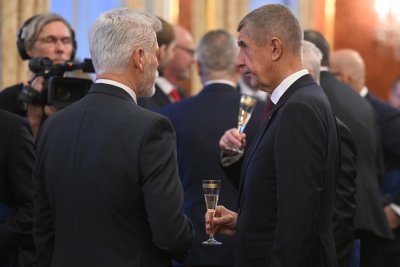 Чешкият президент назначи правителството на Бабиш