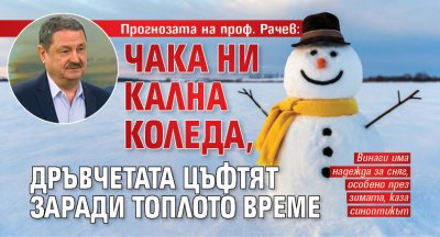 Прогнозата на проф. Рачев: Чака ни кална Коледа, дръвчетата цъфтят заради топлото време