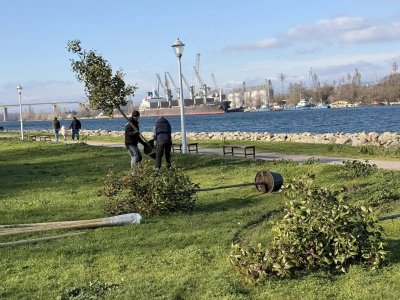 Алея на рока правят във Варна