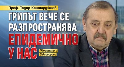 Проф. Тодор Кантарджиев: Грипът вече се разпространява епидемично у нас