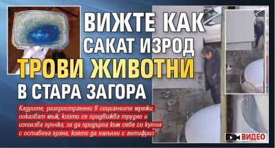 Вижте как сакат изрод трови животни Стара Загора (Видео)
