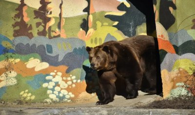 Преминаването към еврото принуждава столичния зоопарк да затвори врати в