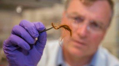 Учени разработиха метод как да се хващат престъпници по косъм