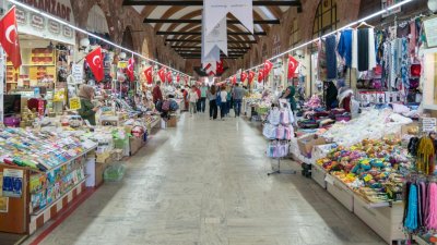 Одрин спря да приема левове