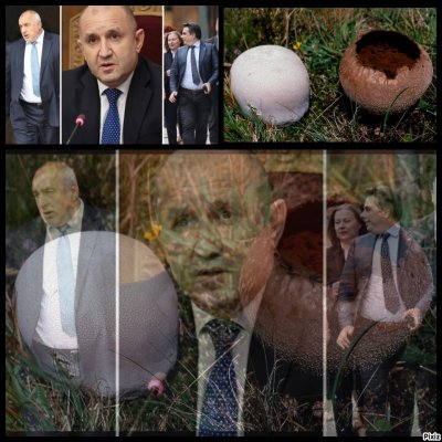 Седмицата: Коледното меню &ndash; пърхутки, чворове и пънове, дето сме си ги набрали