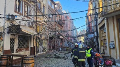 Бурен вятър отнесе дървета и контейнери в Пловдив