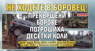 Не ходете в Боровец! Прекършени борове потрошиха десетки коли (СНИМКИ)