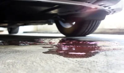 Случвало ли ви се е да усетите лека дори приятна