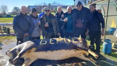 Стойчо Младенов и ветератите на Берое... на прасенце