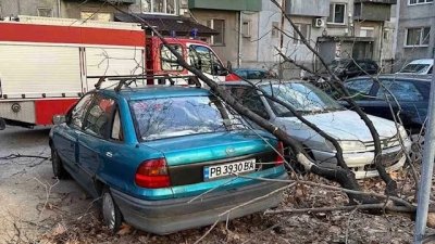 Общо на 90 сигнала са реагирали огнеборците от Пловдив в