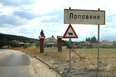 Щъркелово гнездо е паднало от електрически стълб в самоковското село