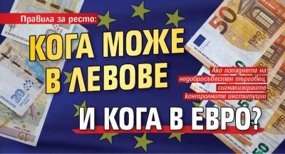 Правила за ресто: Кога може в левове и кога в евро? 