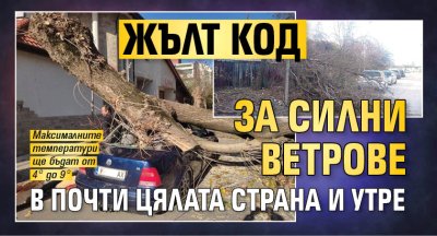 Жълт код за силни ветрове в почти цялата страна и утре
