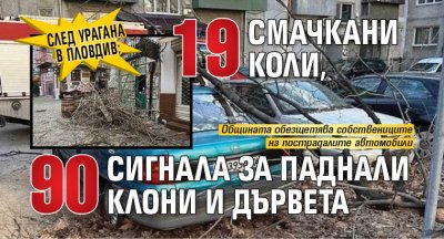 След урагана в Пловдив: 19 смачкани коли, 90 сигнала за паднали клони и дървета