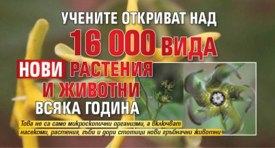 Учените откриват над 16 000 вида нови растения и животни всяка година