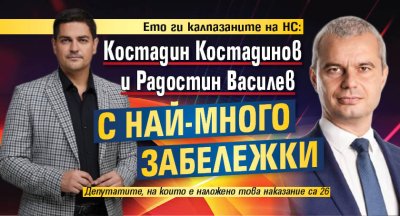 Ето ги калпазаните на НС: Костадин Костадинов и Радостин Василев с най-много забележки