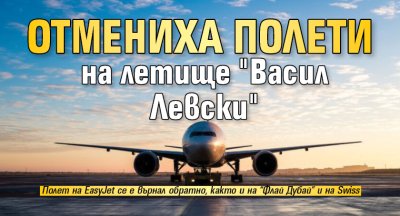 Отмениха полети на летище "Васил Левски"