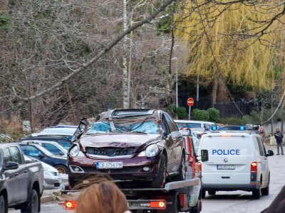 Майка на две деца загина, след като дърво падна върху колата им на Витоша (СНИМКИ)