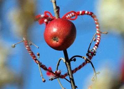 Васильовден е! Черпят 10 царски имена