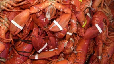 Откраднаха омари за 400 хил. долара в Масачузетс