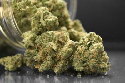 Босна и Херцеговина официално разреши употребата на канабис за медицински