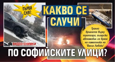 Първи сняг: Какво се случи по софийските улици? (СНИМКИ И ВИДЕО)