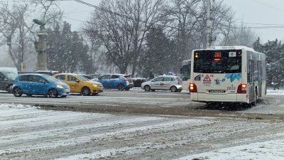 Над 80 души са потърсили помощ в Пирогов от 8