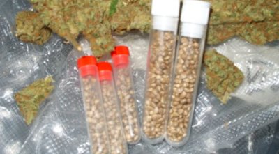 Наркопласьори направили тайник до стадиона в Горна Оряховица