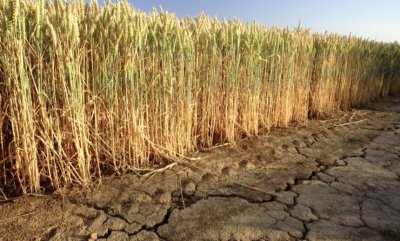 Лятото на 2025 г. - най-сухото в България от близо 100 години