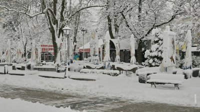 В три общини в Русенско утре е неучебен ден