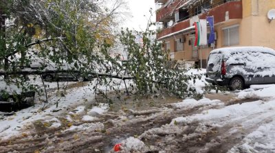 Към момента са обработени общо 35 сигнала основно за паднали