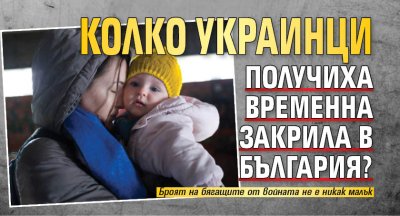 Колко украинци получиха временна закрила в България?