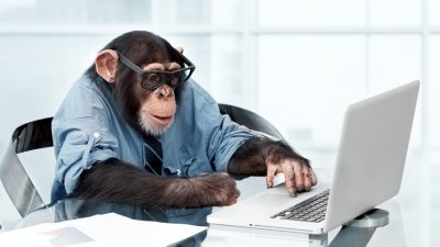 Шимпанзе гений умря в Япония на 49 години