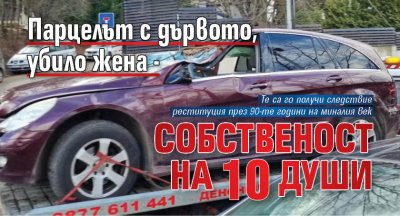 10 души са собственици на парцела на който беше дървото