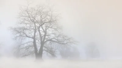 Кажете "чао" на топлото, вадете зимните ботуши и палта!