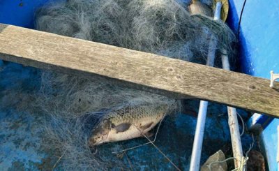 100 метра бракониерски мрежи са установени край Варна