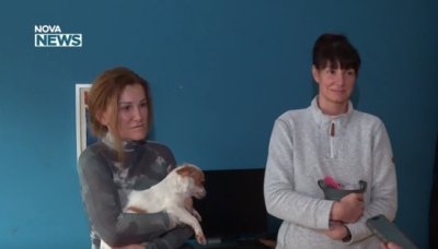 Ето какво можете да направите с жълтите си стотинки