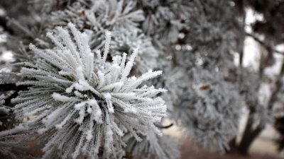 Днес от североизток ще продължи да нахлува по студен въздух