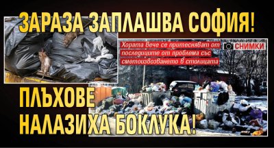 Зараза заплашва София! Плъхове налазиха боклука! (СНИМКИ)