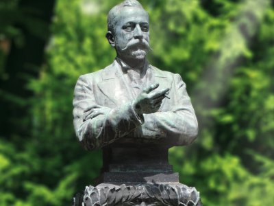 Депутат с побъркани местоимения 