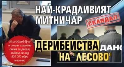 Скандал: Най-крадливият митничар дерибейства на "Лесово"