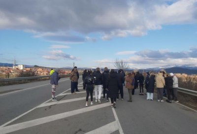 Прокуратурата обвини двама за фаталната катастрофа с коне край Кюстендил