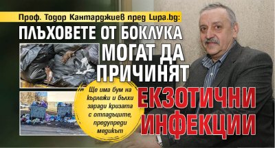 Проф. Тодор Кантарджиев пред Lupa.bg: Плъховете от боклука могат да причинят екзотични инфекции