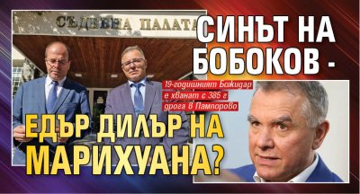 19 годишният Божидар Бобоков син на бизнесмена Атанас Бобоков  е